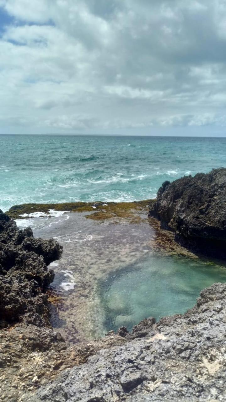 Grand Studio Les Pieds Dans L'Eau, Centre Ville Le Gosier  Exterior foto