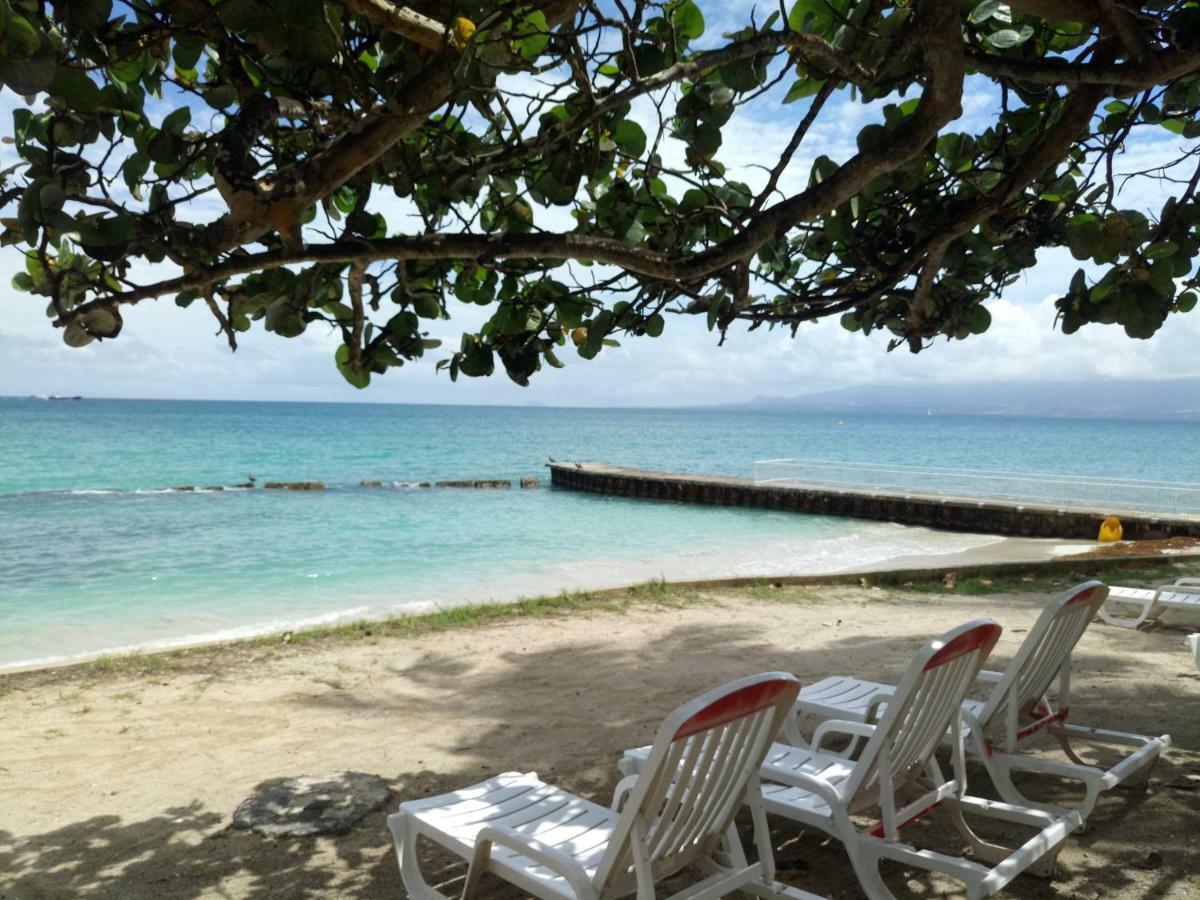 Grand Studio Les Pieds Dans L'Eau, Centre Ville Le Gosier  Exterior foto