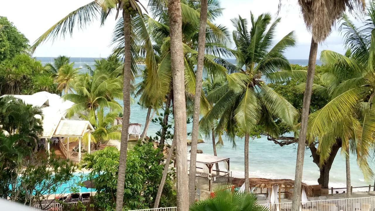 Grand Studio Les Pieds Dans L'Eau, Centre Ville Le Gosier  Exterior foto